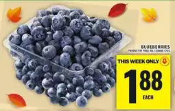 Food Basics BLUEBERRIES offer