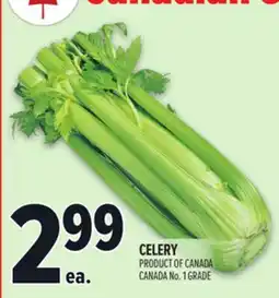 Metro CELERY offer