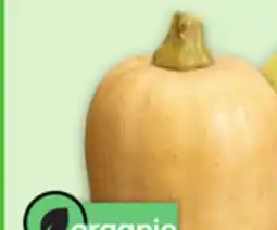 Metro ACORN, BUTTERNUT, SPAGHETTI SQUASH offer