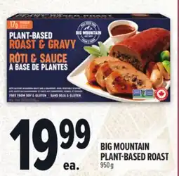 Metro BIG MOUNTAIN PLANT-BASED ROAST offer
