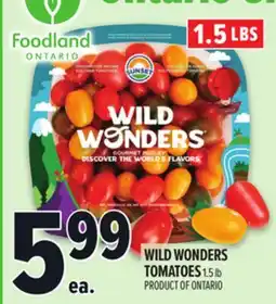 Metro WILD WONDERS TOMATOES offer