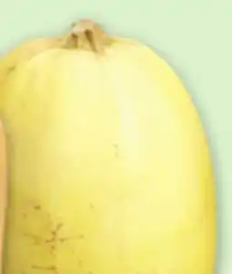 Metro ACORN, BUTTERNUT, BUTTERCUP OR SPAGHETTI SQUASH offer