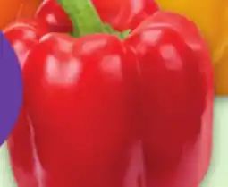 Metro WANNABEEZ SWEET COLOURED PEPPERS offer