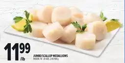 Metro JUMBO SCALLOP MEDALLIONS offer