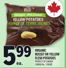 Metro ORGANIC RUSSET OR YELLOW-FLESH POTATOES offer