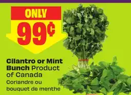 FreshCo Cilantro or Mint Bunch Product of Canada offer