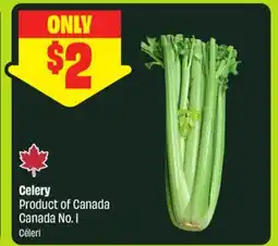 FreshCo Celery Product of Canada Canada No. 1 offer