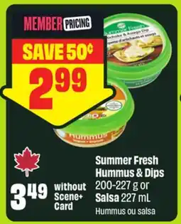 FreshCo Summer Fresh Hummus & Dips 200-227 g or Salsa 227 mL offer