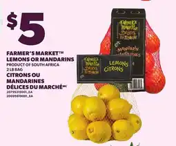 Independent Grocer FARMER'S MARKET LEMONS OR MANDARINS, 2 LB BAG offer