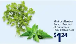 Walmart Mint offer
