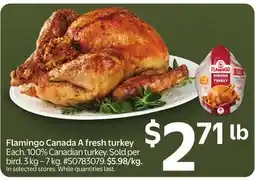 Walmart Flamingo Canada A fresh turkey offer