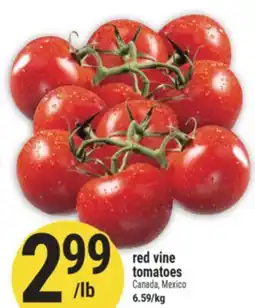 Marché Adonis red vine tomatoes offer
