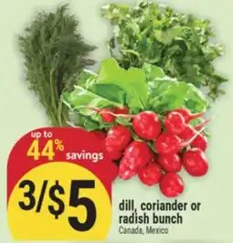 Marché Adonis DILL, CORIANDER OR RADISH BUNCH offer