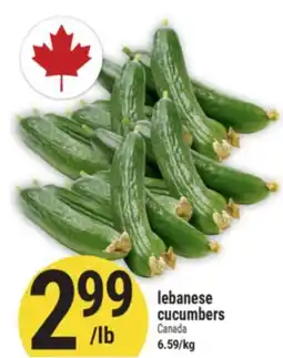 Marché Adonis lebanese cucumbers offer