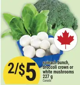 Marché Adonis spinach bunch, broccoli crown or white mushrooms offer