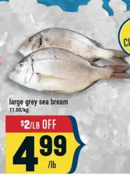 Marché Adonis large grey sea bream offer