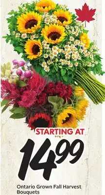 Sobeys Ontario Grown Fall Harvest Bouquets offer