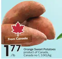 Sobeys Orange Sweet Potatoes offer