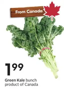 Sobeys Green Kale bunch offer
