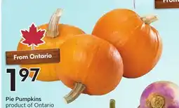 Sobeys Pie Pumpkins offer