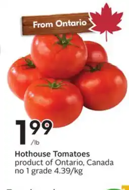 Sobeys Hothouse Tomatoes offer