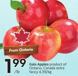 Sobeys Gala Apples offer