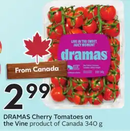 Sobeys DRAMAS Cherry Tomatoes on the Vine offer