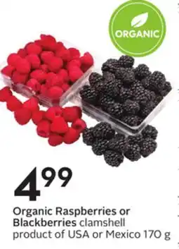 Sobeys Organic Raspberries or Blackberries offer