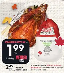 Sobeys HAYTER'S FARM Raised Without Antibiotics Frozen Grade A Turkeys offer