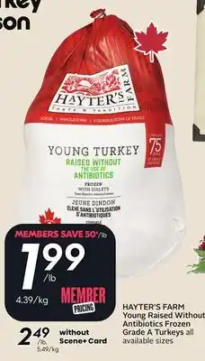 Sobeys HAYTER'S FARM Young Raised Without Antibiotics Frozen Grade A Turkeys offer