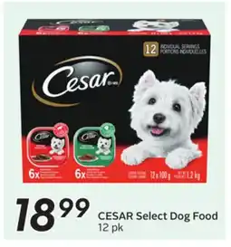 Sobeys Select Dog Food offer