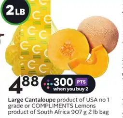 Sobeys Large Cantaloupe offer