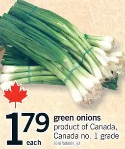 Fortinos GREEN ONIONS offer