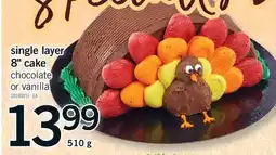 Fortinos SINGLE LAYER 8 CAKE offer