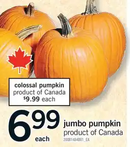 Fortinos JUMBO PUMPKIN offer