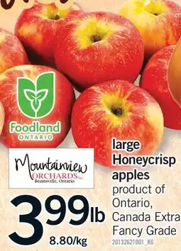 Fortinos LARGE HONEYCRISP APPLES offer