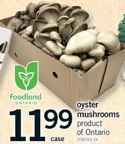 Fortinos OYSTER MUSHROOMS, case offer