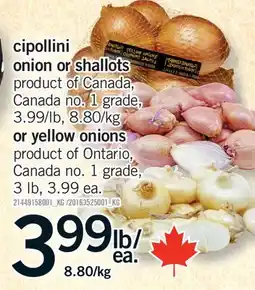 Fortinos CIPOLLINI ONION OR SHALLOTS OR YELLOW ONIONS, 3 lb offer