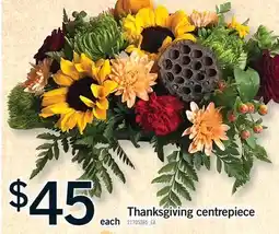 Fortinos THANKSGIVING CENTRE PIECE offer