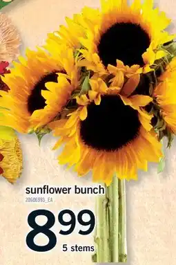 Fortinos SUNFLOWER BUNCH, 5 STEMS offer