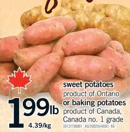 Fortinos SWEET POTATOES OR BAKING POTATOES offer