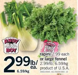 Fortinos RAPINI OR LARGE FENNEL offer