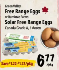 Farm Boy Green Valley Free Range Eggs or Burnbrae Farms Solar Free Range Eggs offer