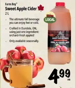 Farm Boy Farm Boy Sweet Apple Cider offer