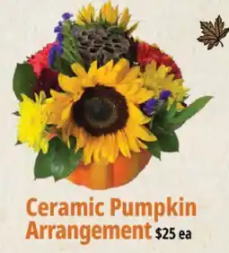 Farm Boy Ceramic Pumpkin Arrangement offer