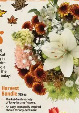 Farm Boy Harvest Bundle offer