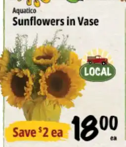 Farm Boy Sunflowers in Vase offer