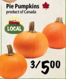 Farm Boy Pie Pumpkins offer