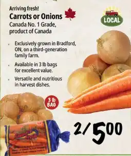 Farm Boy Carrots or Onions offer