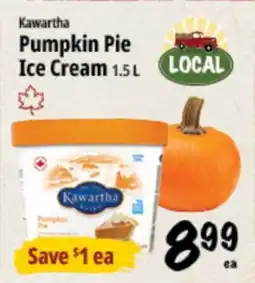 Farm Boy Kawartha Pumpkin Pie Ice Cream offer